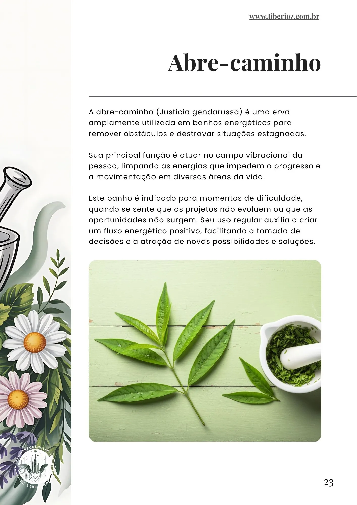 110 Energy Cleansing Baths preview page 9