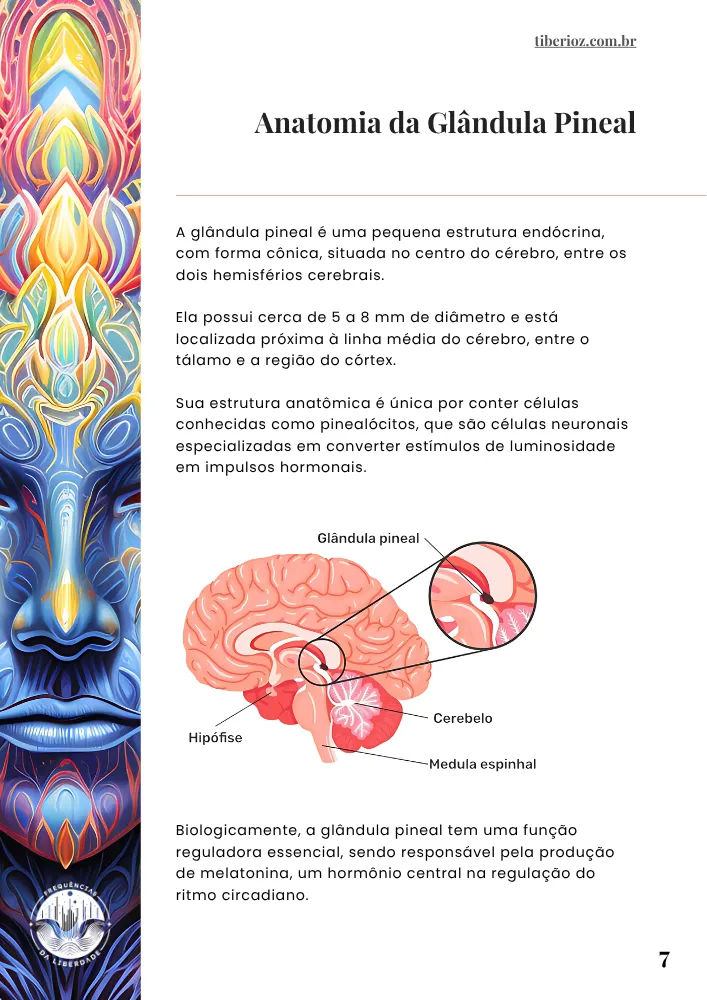 40 Exercises to Open Your Third Eye preview page 4